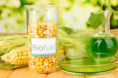 Dorney Reach biofuel availability